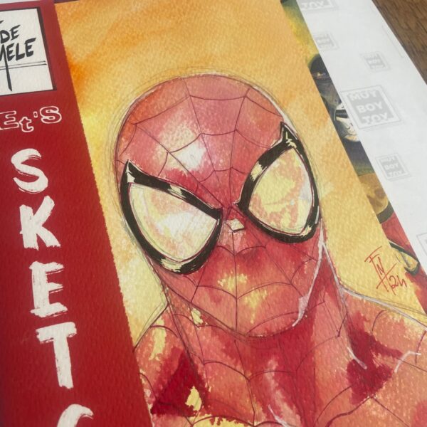 Federico Mele - Sketchbook con illustrazione di Spiderman ad acquerelli . - immagine 2